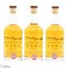 Glenfarclas - 44 Year Old 1977 - Single Cask #7284 (3x70cl) Thumbnail