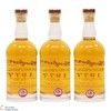 Glenfarclas - 44 Year Old 1977 - Single Cask #7284 (3x70cl) Thumbnail
