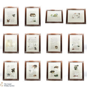 Macallan  The Remarkable History of The Macallan Glenlivet  Sara Midda Prints Framed in Oak