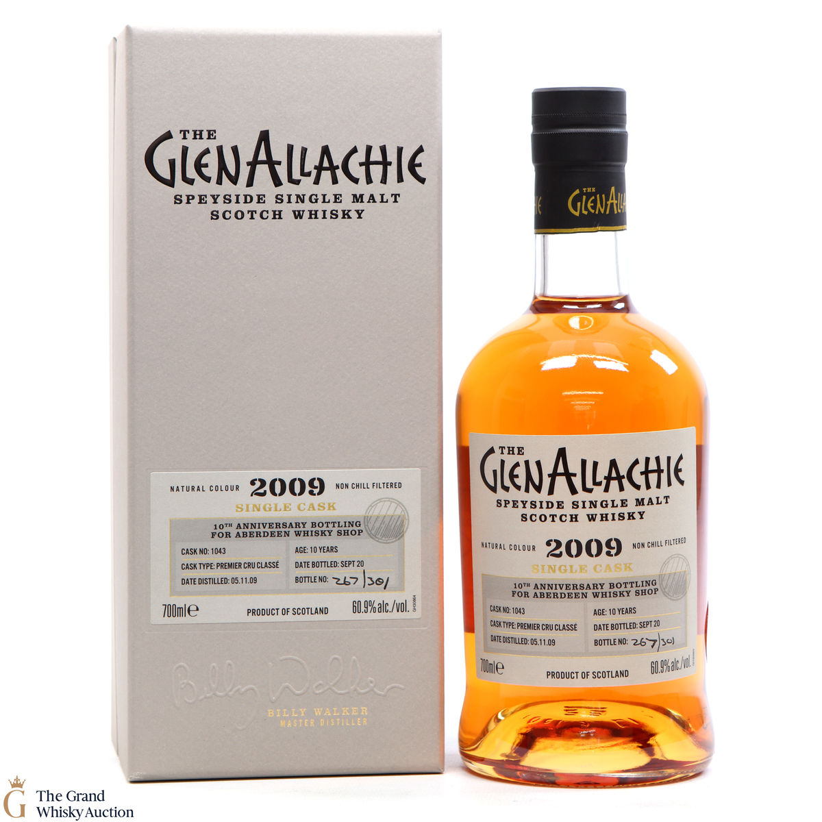 Glenallachie - 10 Year Old 2009 #1043
