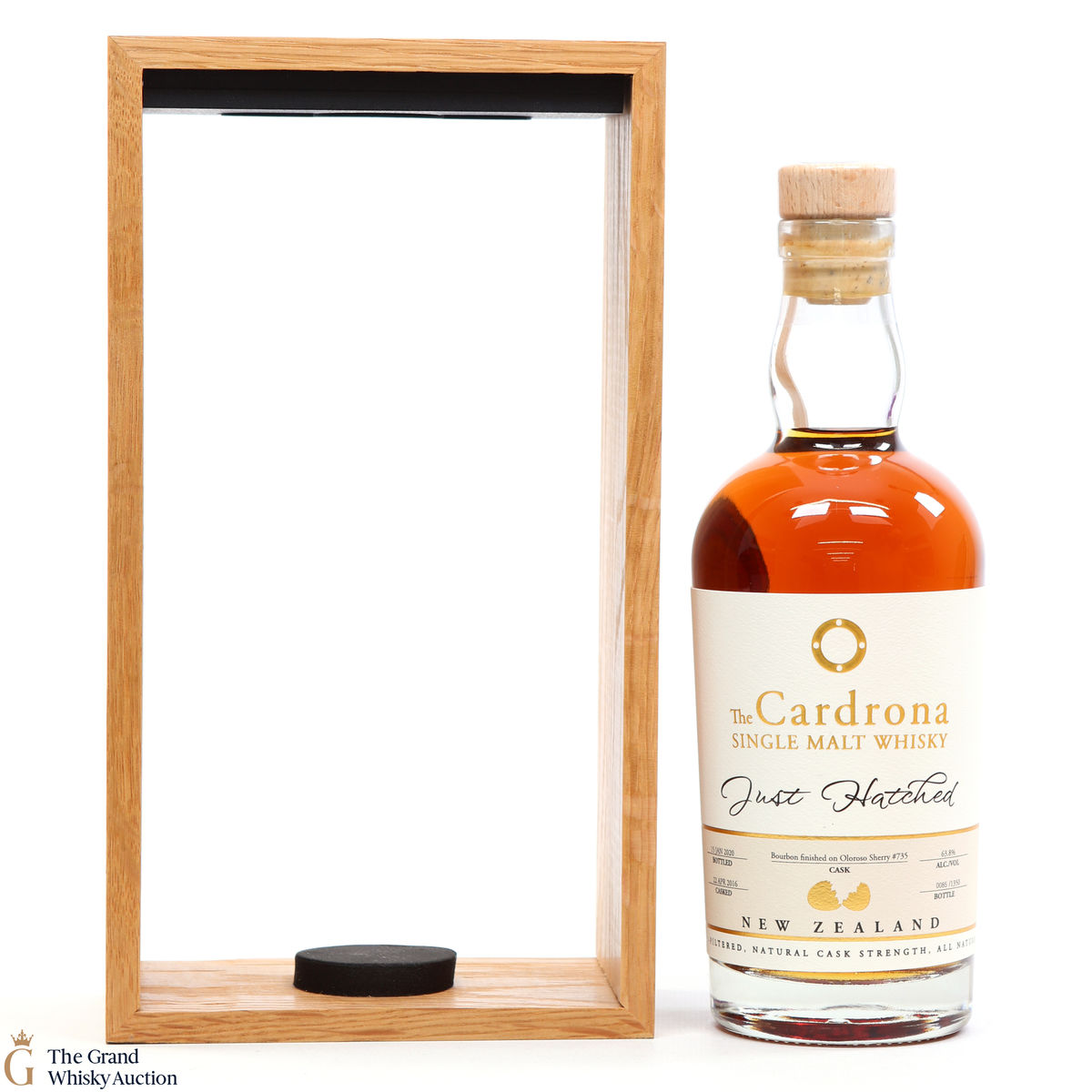 Cardrona - Just Hatched - Dramfest 2020 #735