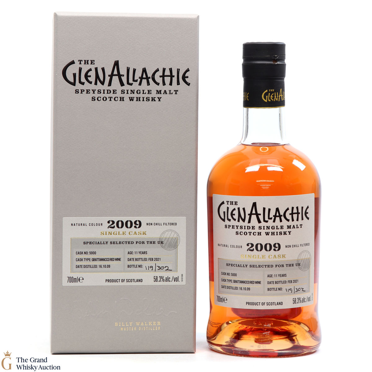 Glenallachie - 11 Year Old 2009 #5000