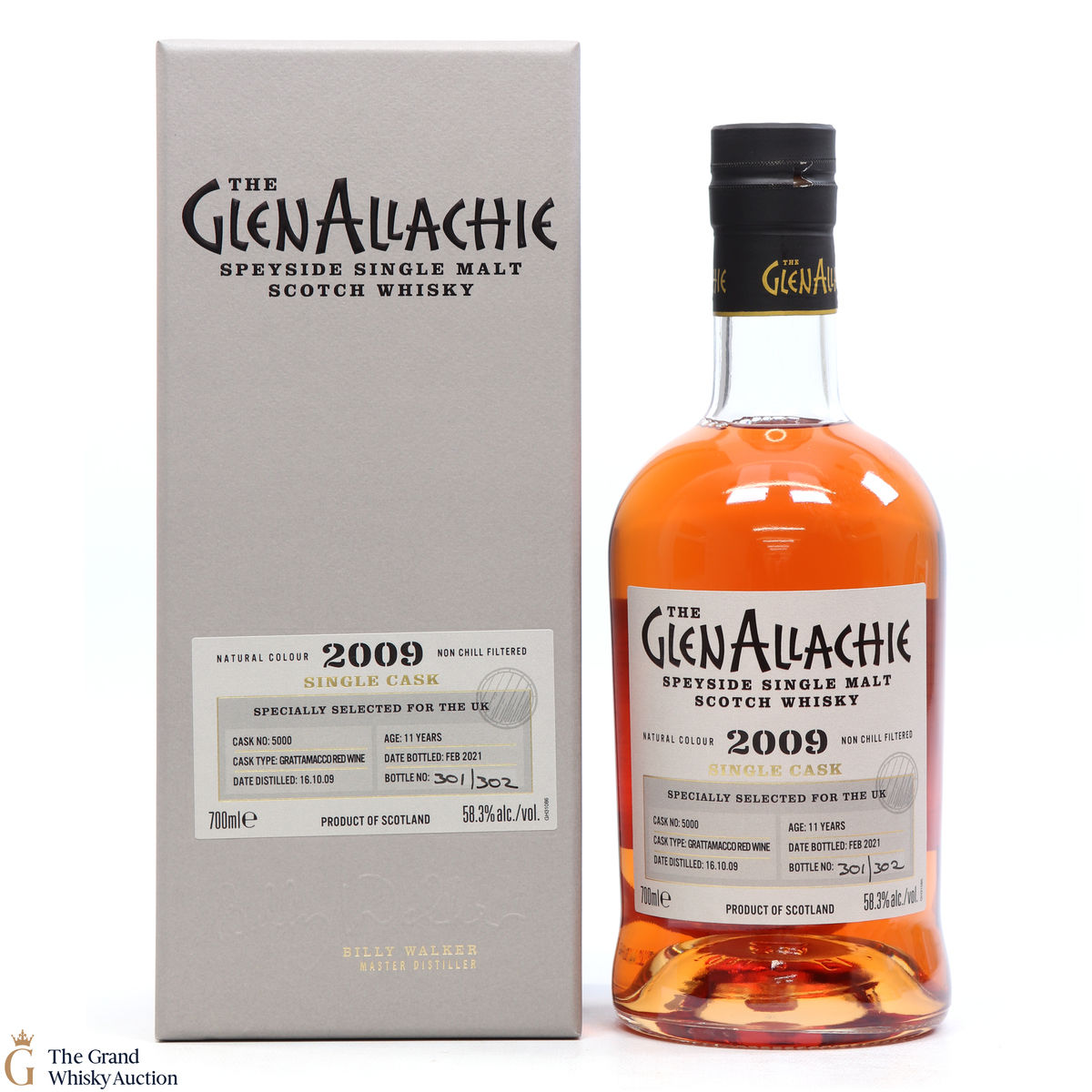 Glenallachie - 11 Year Old 2009 #5000