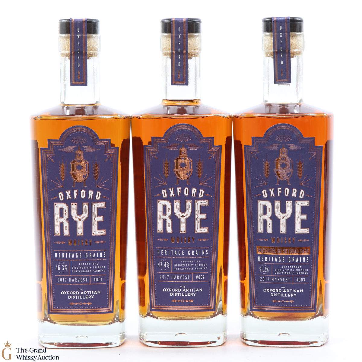 Oxford Rye - 2017 Heritage Grains - Batch 1, 2 & 3