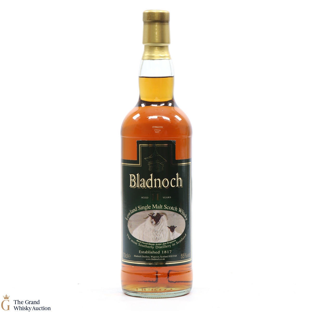 Bladnoch - 11 Year Old Black Faced Sheep