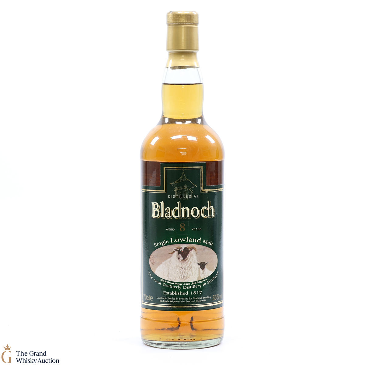 Bladnoch - 8 Year Old Black Faced Sheep