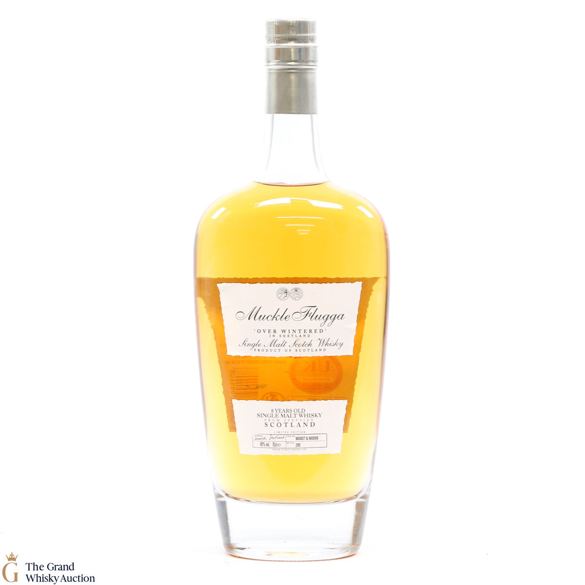 Muckle Flugga - 8 Year Old - Over Wintered 