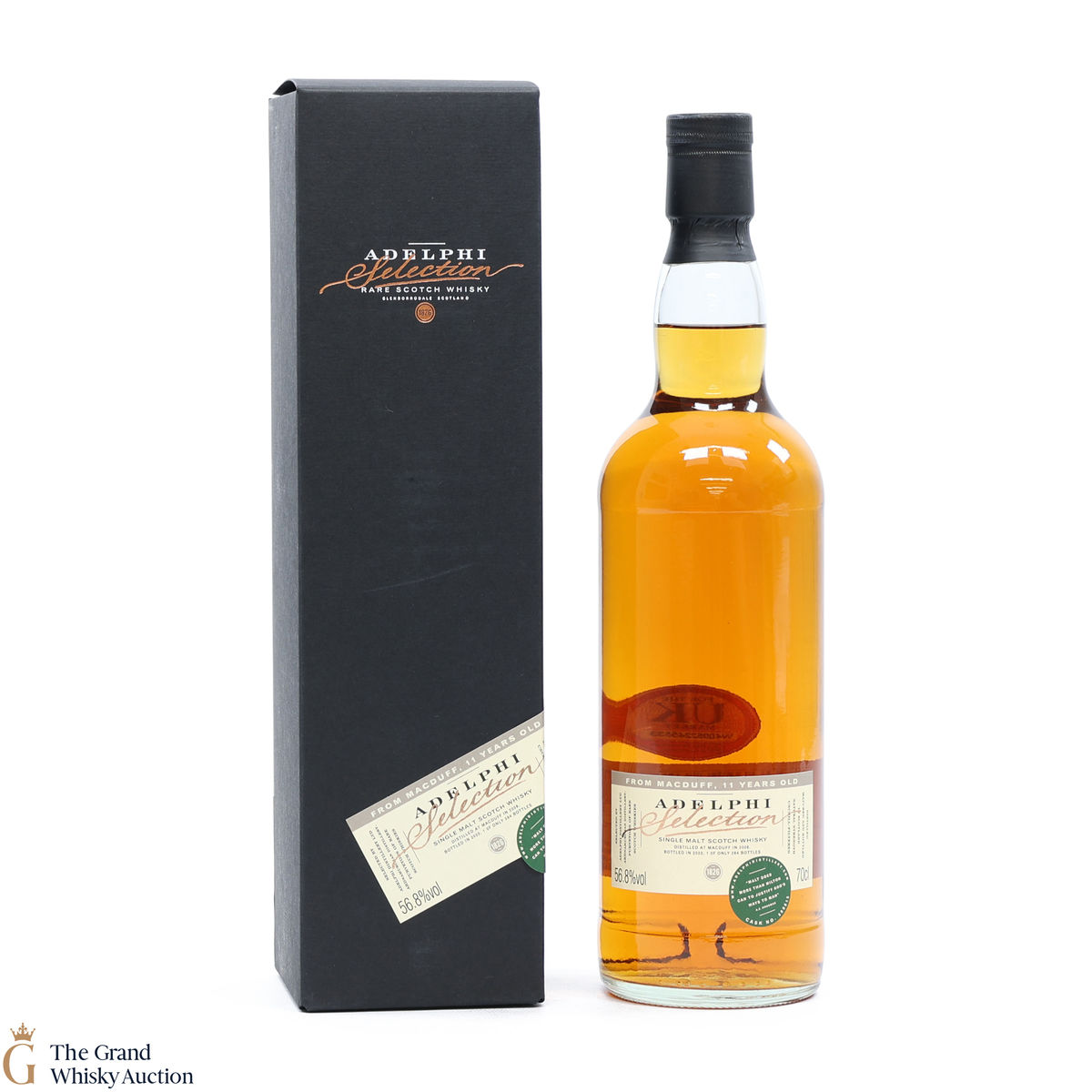 Macduff - 11 Year Old #800815- Adelphi