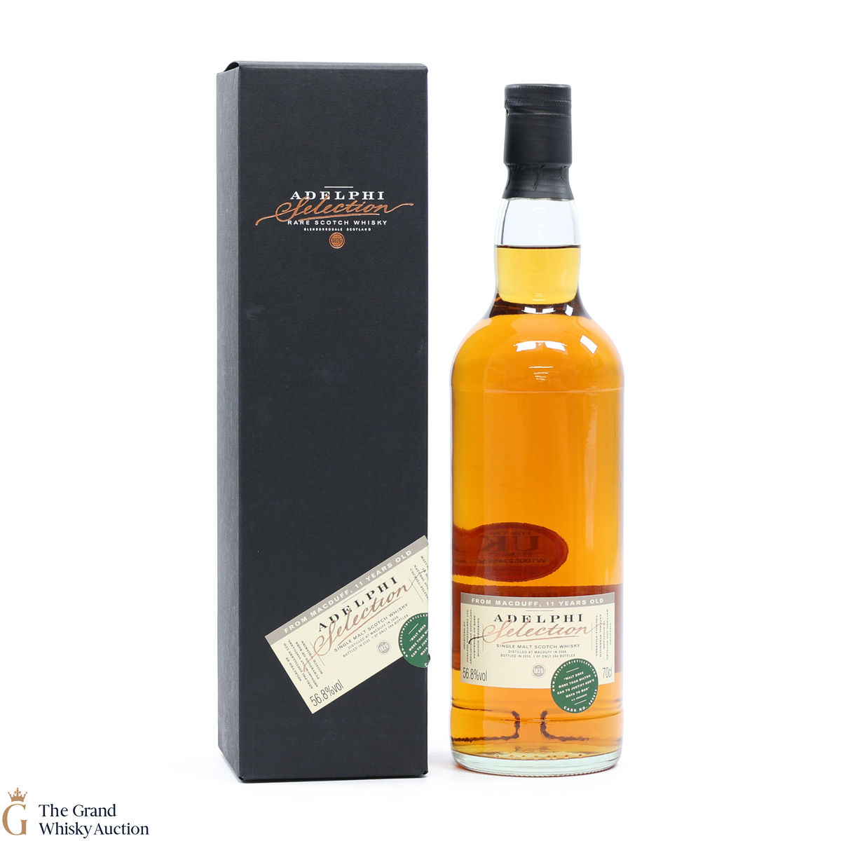 Macduff - 11 Year Old #800815 - Adelphi