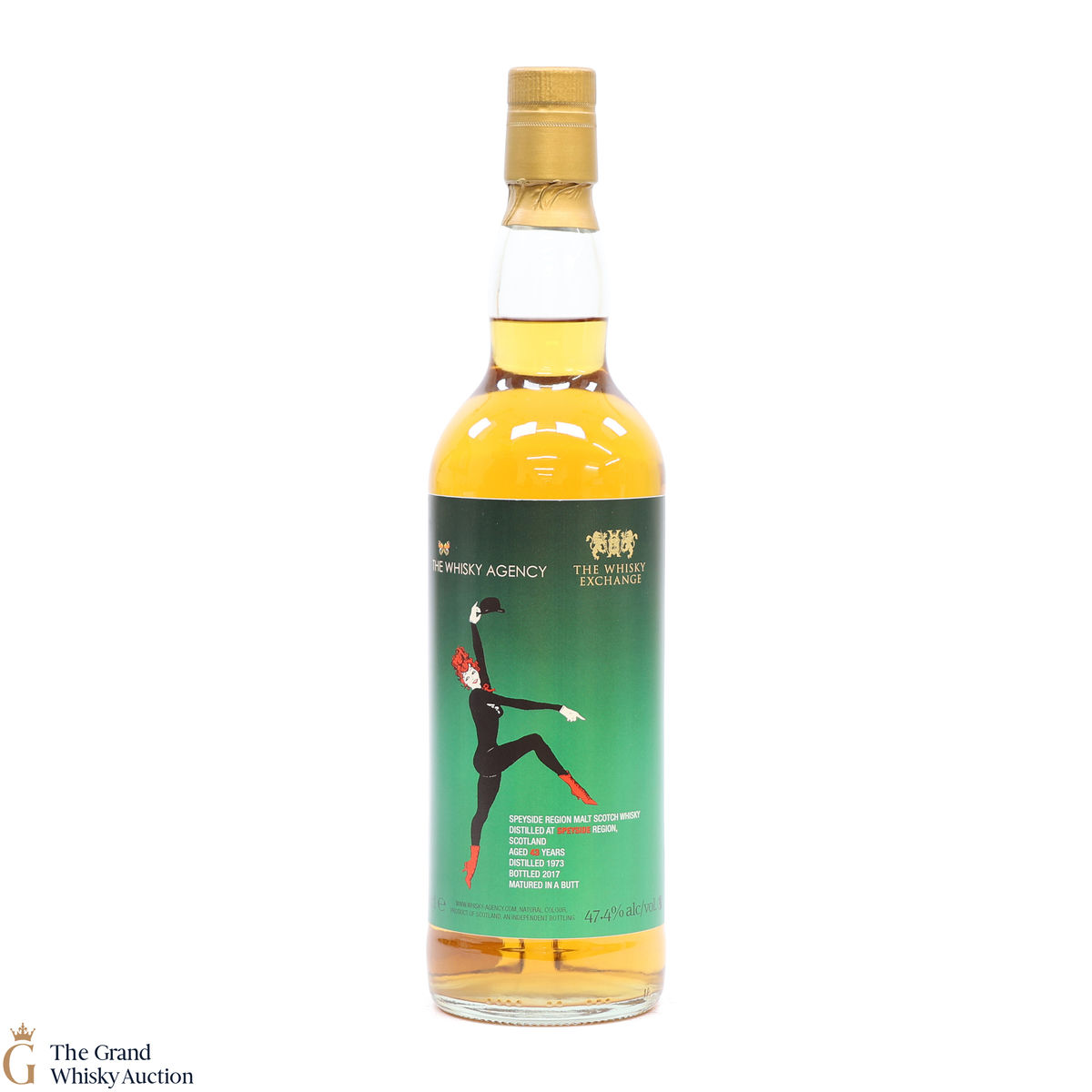 Speyside - 43 Year Old 1973 - The Whisky Agency & TWE