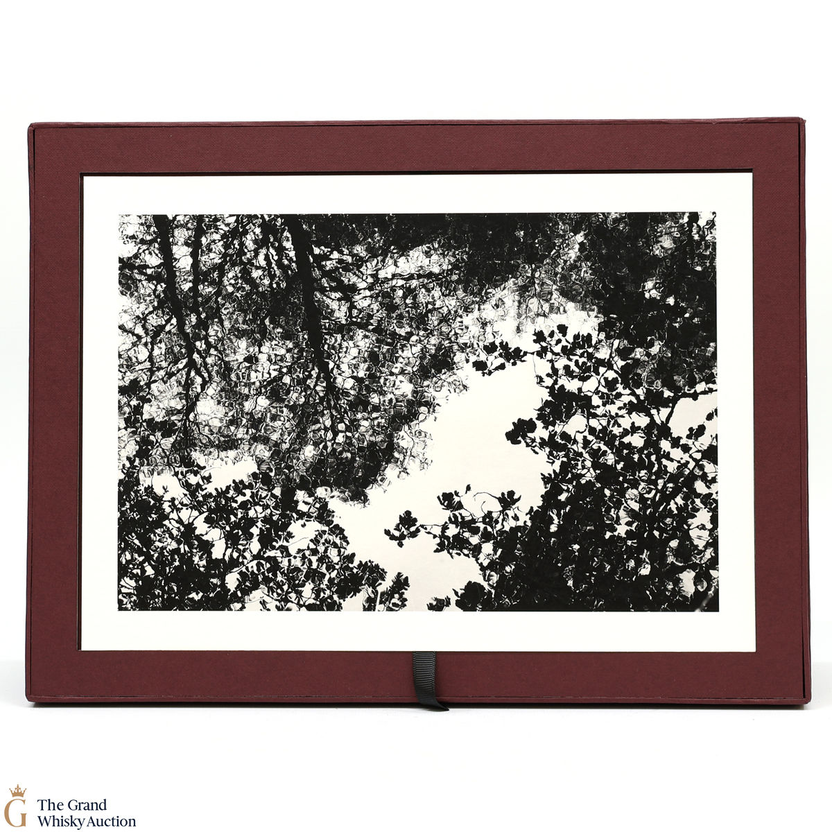 Macallan - Stella & Mary McCartney Print