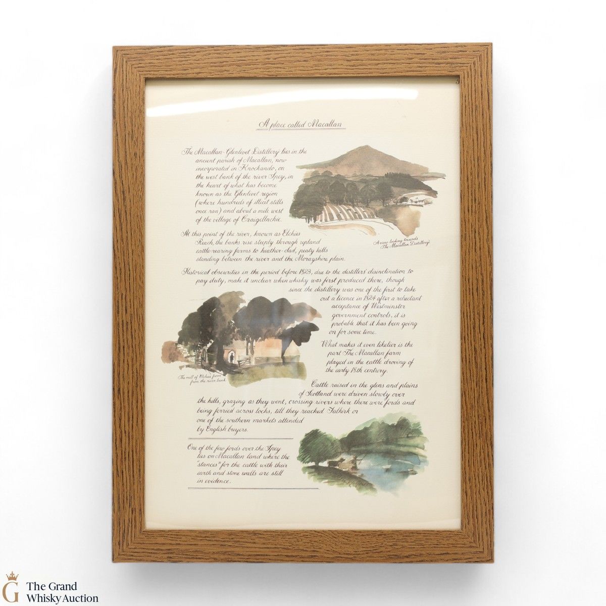 Macallan - The Remarkable History of The Macallan Glenlivet - Sara Midda Print (Framed)