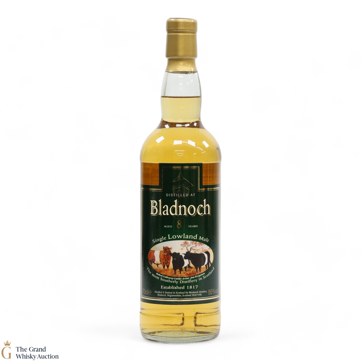 Bladnoch - 8 Year Old - Belted Galloway