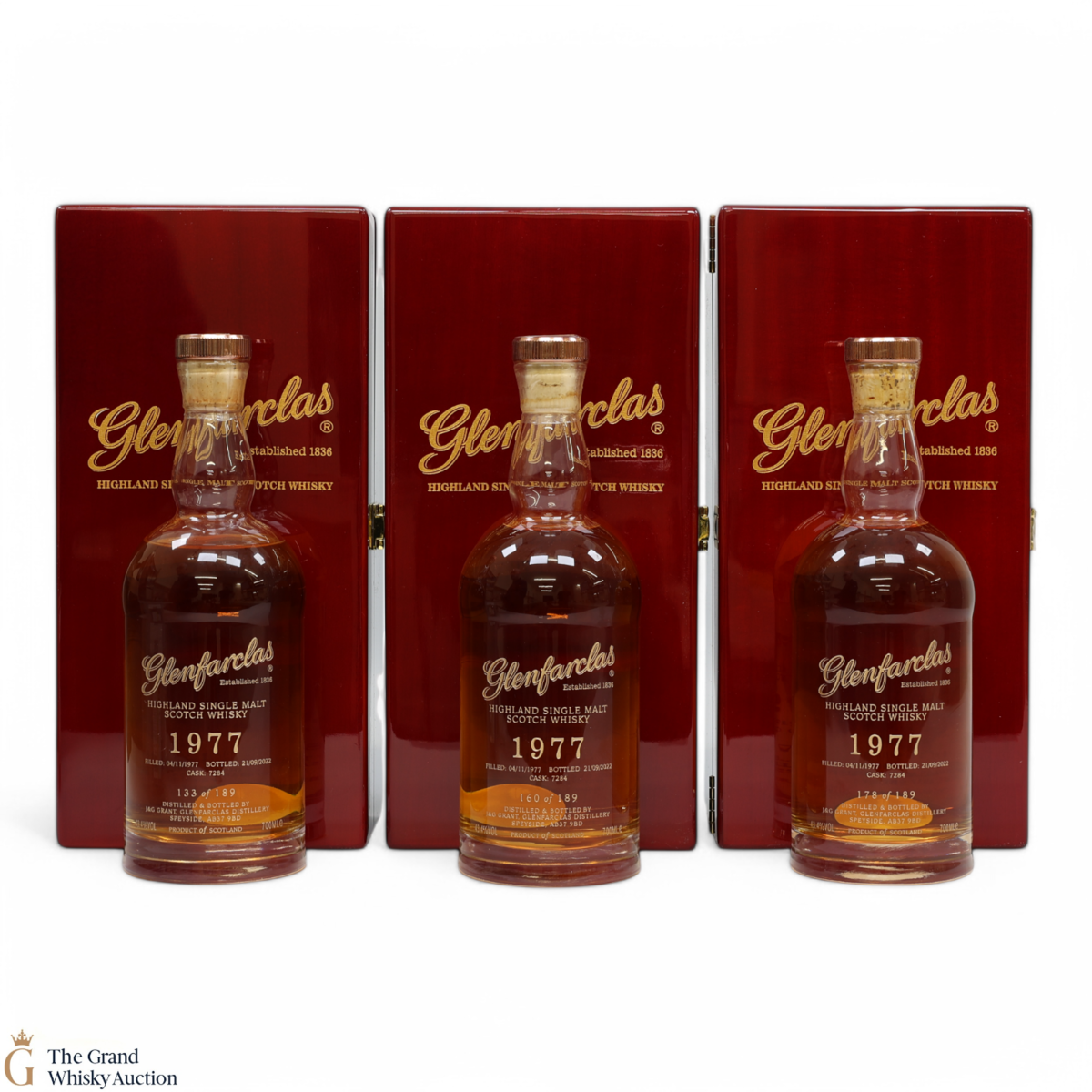 Glenfarclas - 44 Year Old 1977 - Single Cask #7284 (3x70cl)