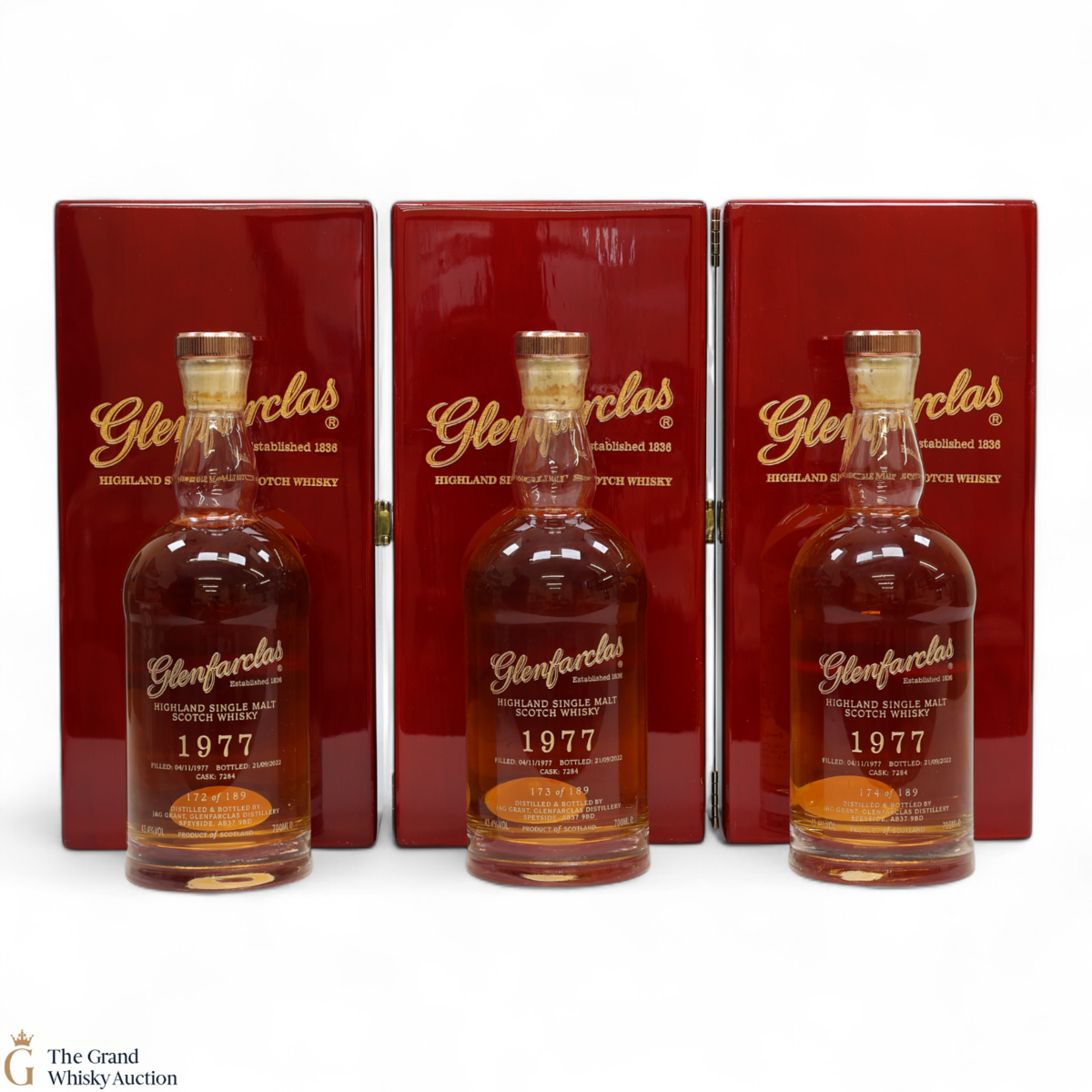 Glenfarclas - 44 Year Old 1977 - Single Cask #7284 (3x70cl)