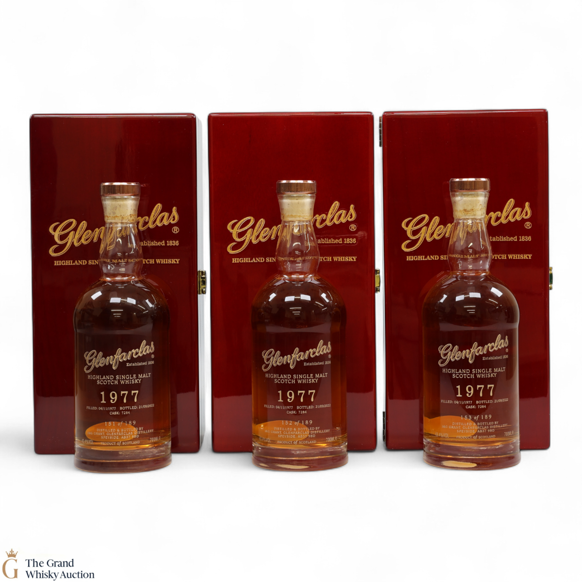 Glenfarclas - 44 Year Old 1977 - Single Cask #7284 (3x70cl)