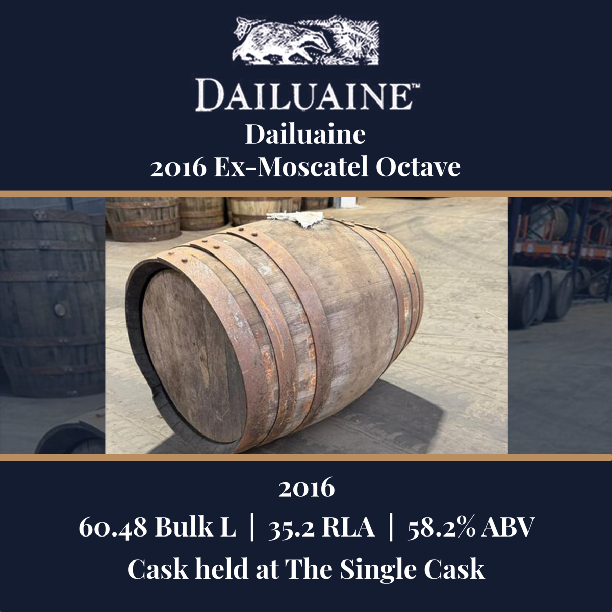 Dailuaine - 2016 Ex-Moscatel Octave - 60.48 Bulk L 58.2% ABV| Held In Bond