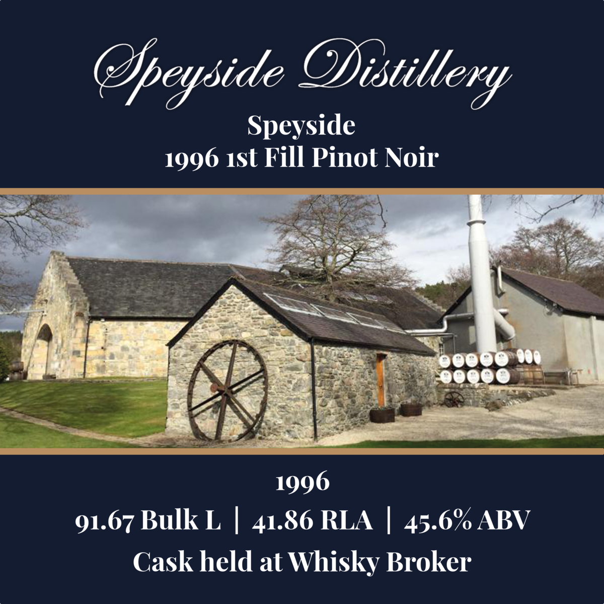 Speyside - 1996 1st Fill Pinot Noir - 91.67 Bulk L 45.6% ABV| Held In Bond