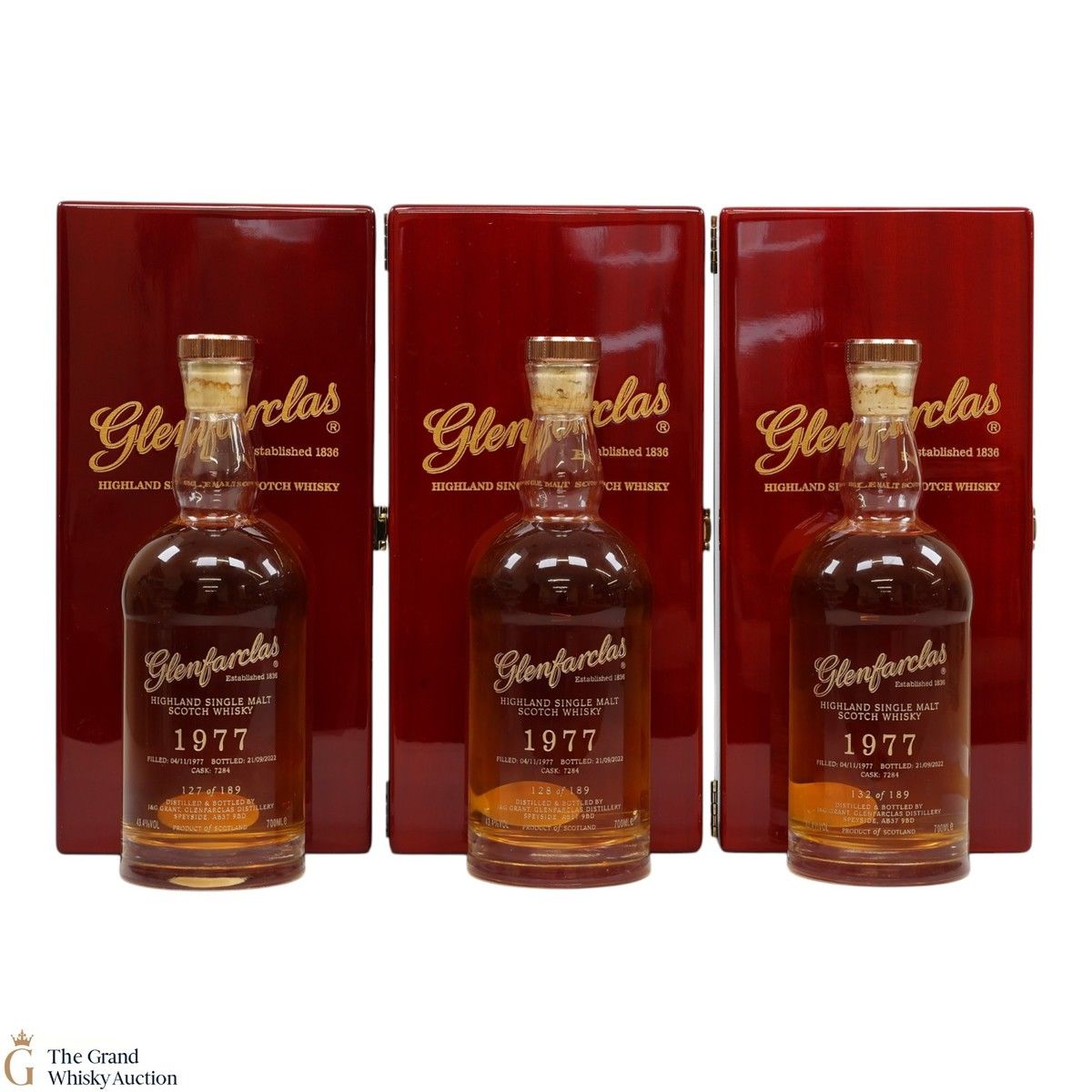 Glenfarclas - 44 Year Old 1977 - Single Cask #7284 (3x70cl)