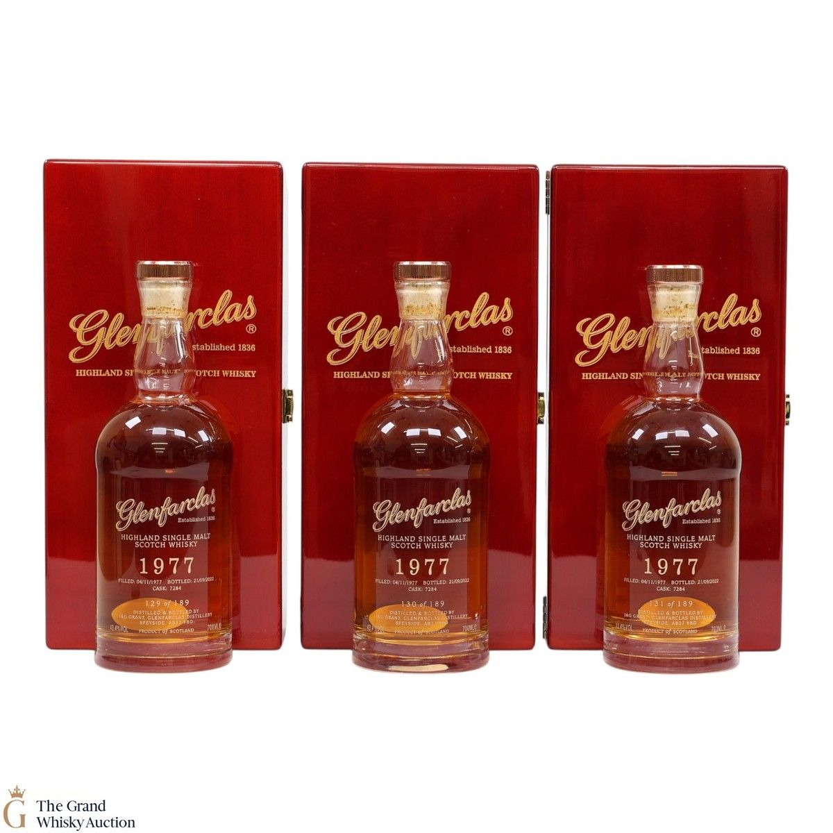 Glenfarclas - 44 Year Old 1977 - Single Cask #7284 (3x70cl)