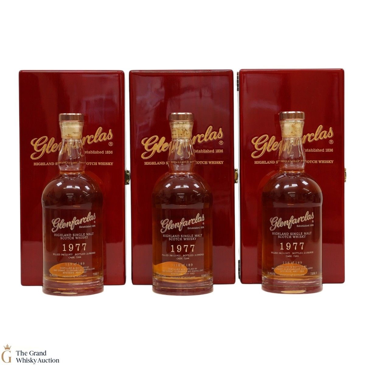 Glenfarclas - 44 Year Old 1977 - Single Cask #7284 (3x70cl)