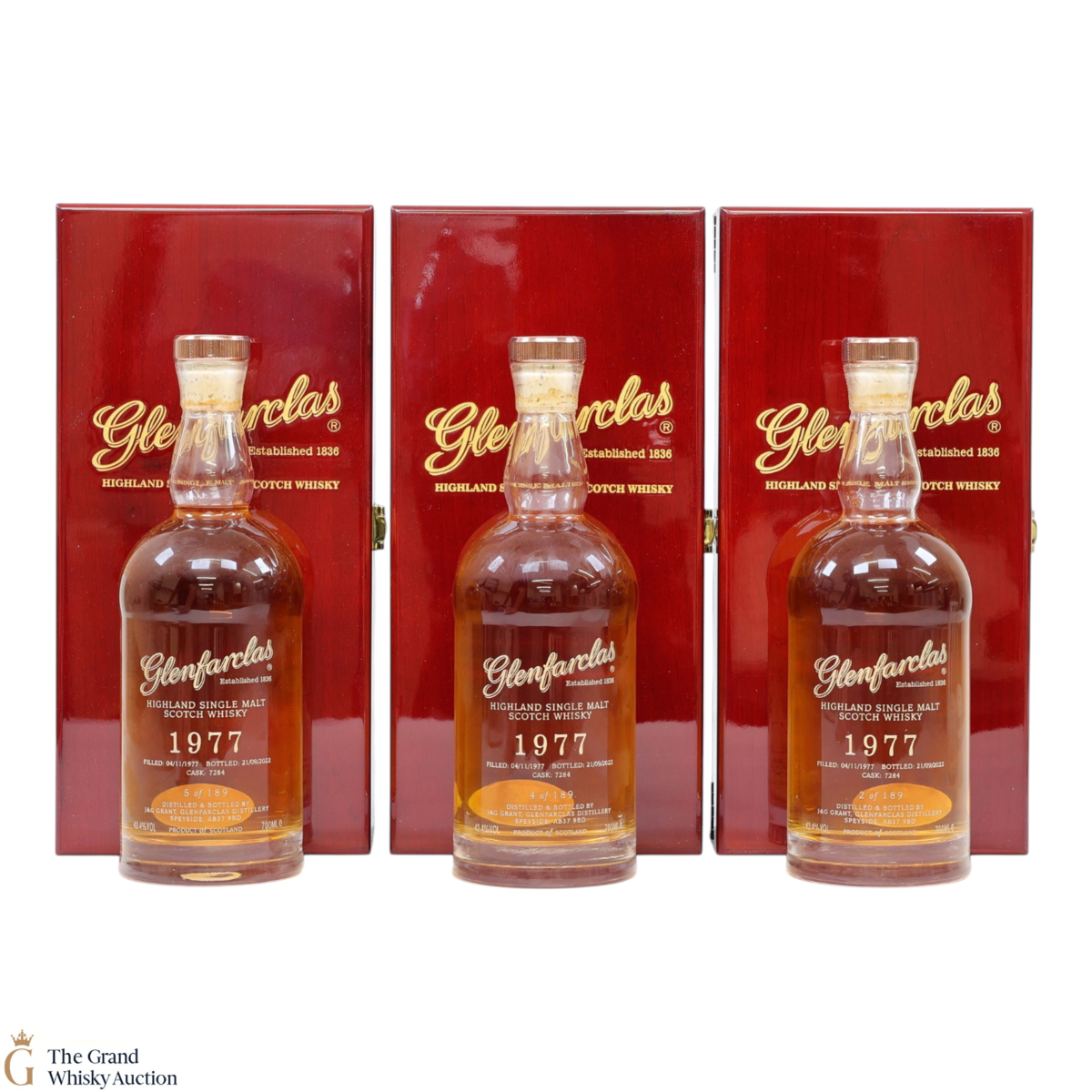 Glenfarclas - 44 Year Old 1977 - Single Cask #7284 (3x70cl)