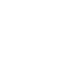 North Star Spirit